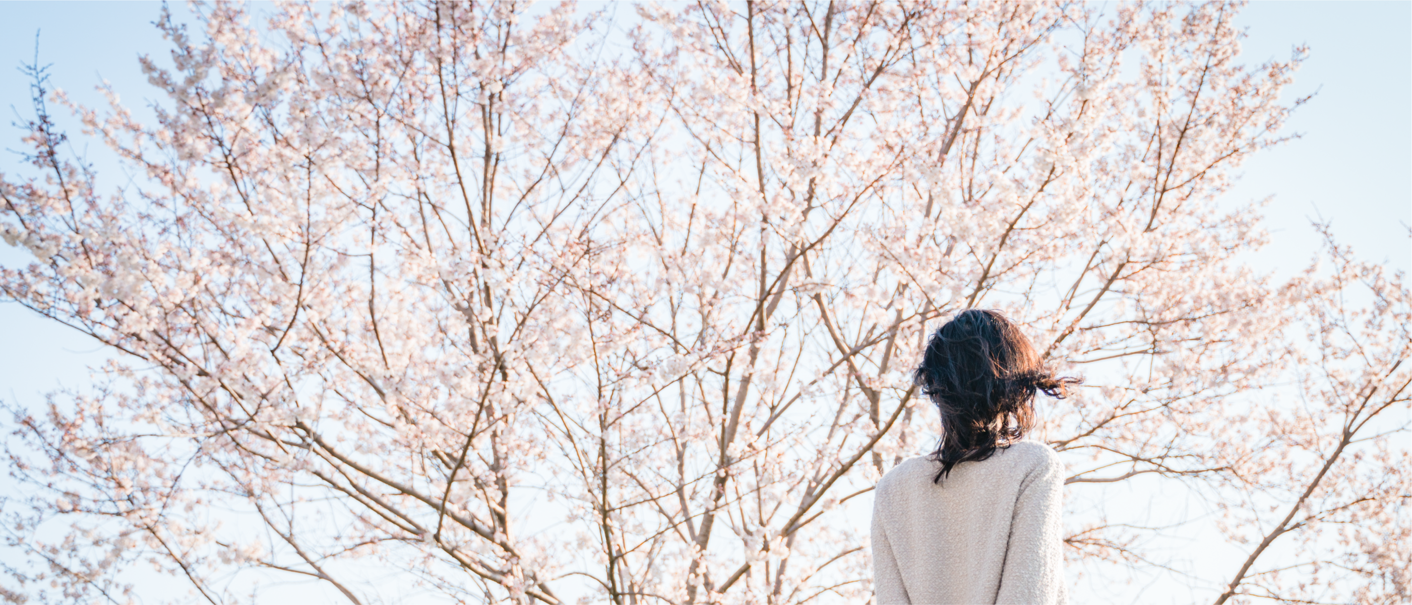 四季を身近に感じる、亀の井の豊かさ
