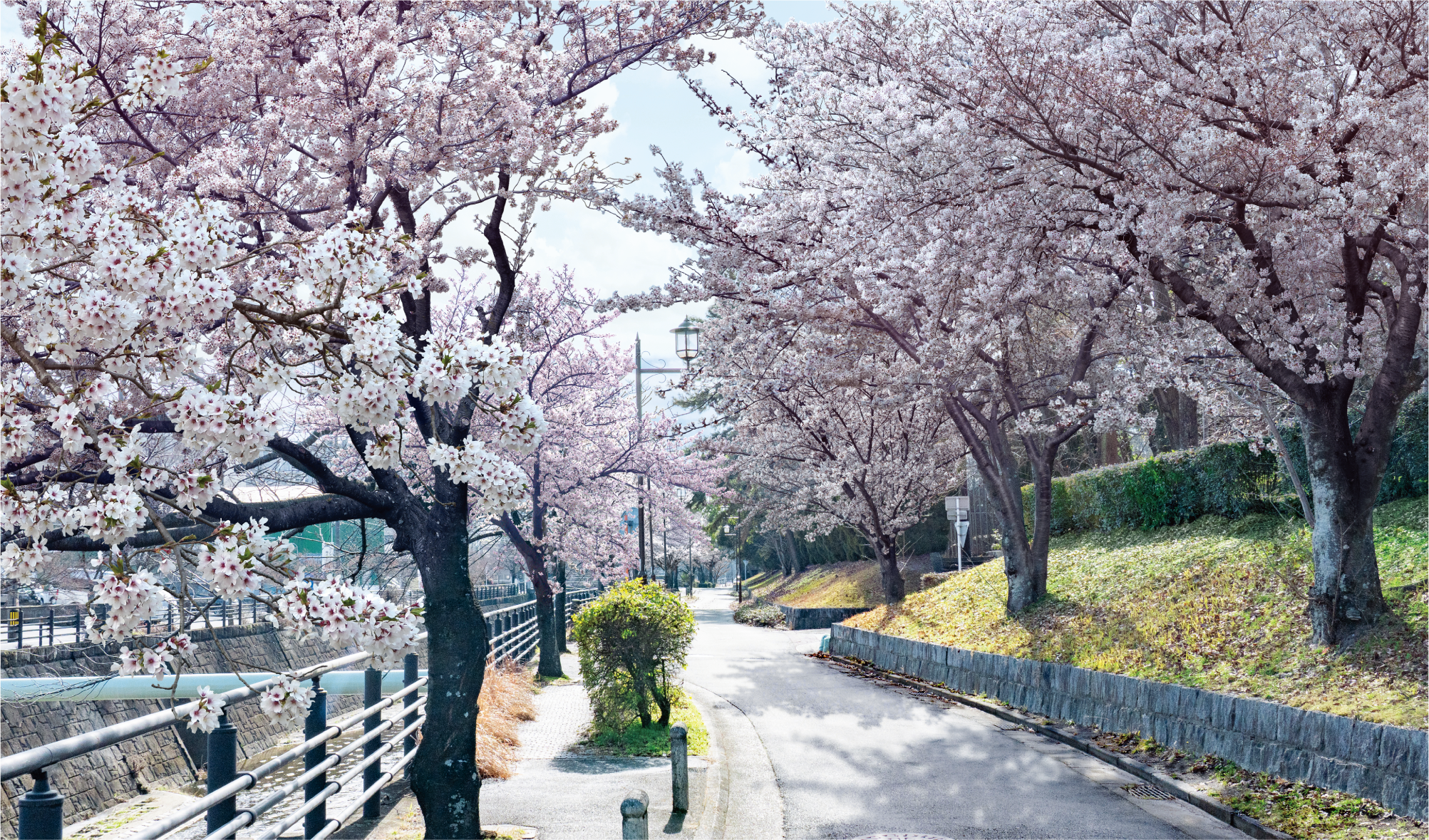 現地周辺の街並み