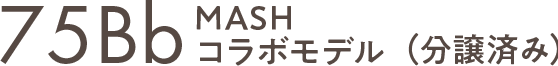 75Bb MASHコラボモデル（分譲済み）