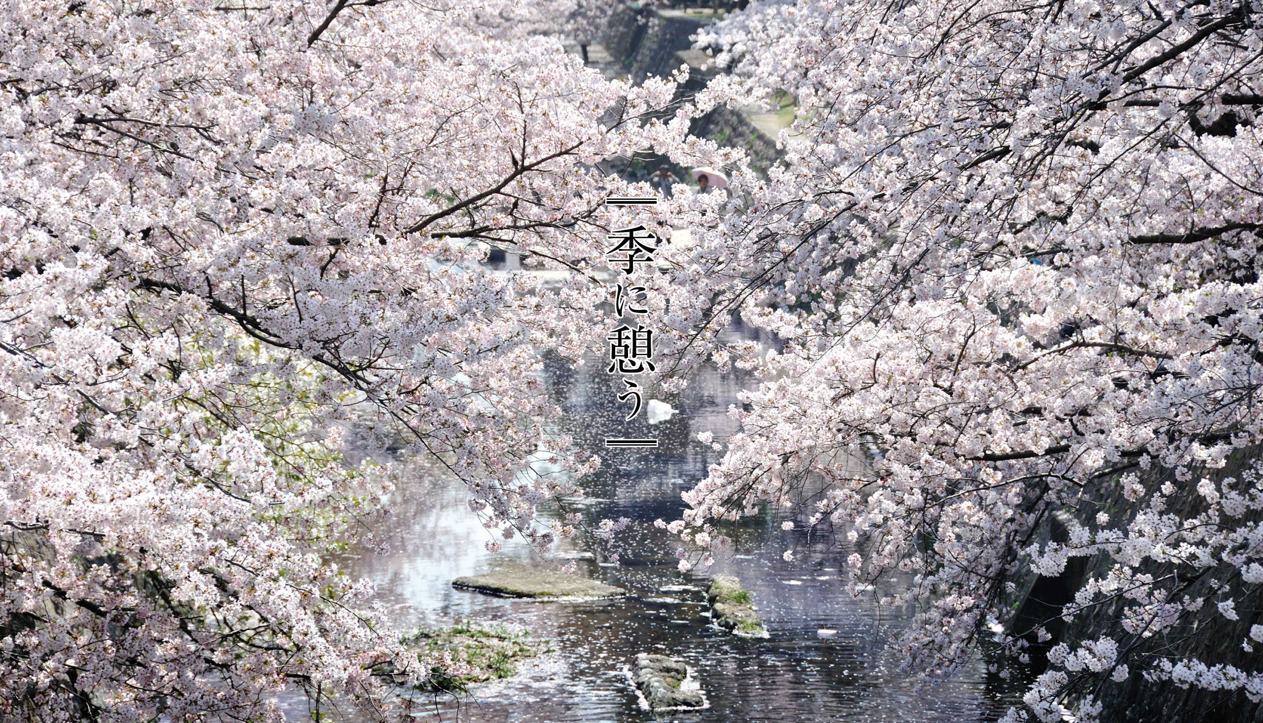 夙川河川敷緑地／徒歩10分（No.9）、徒歩11分（No.1～8）