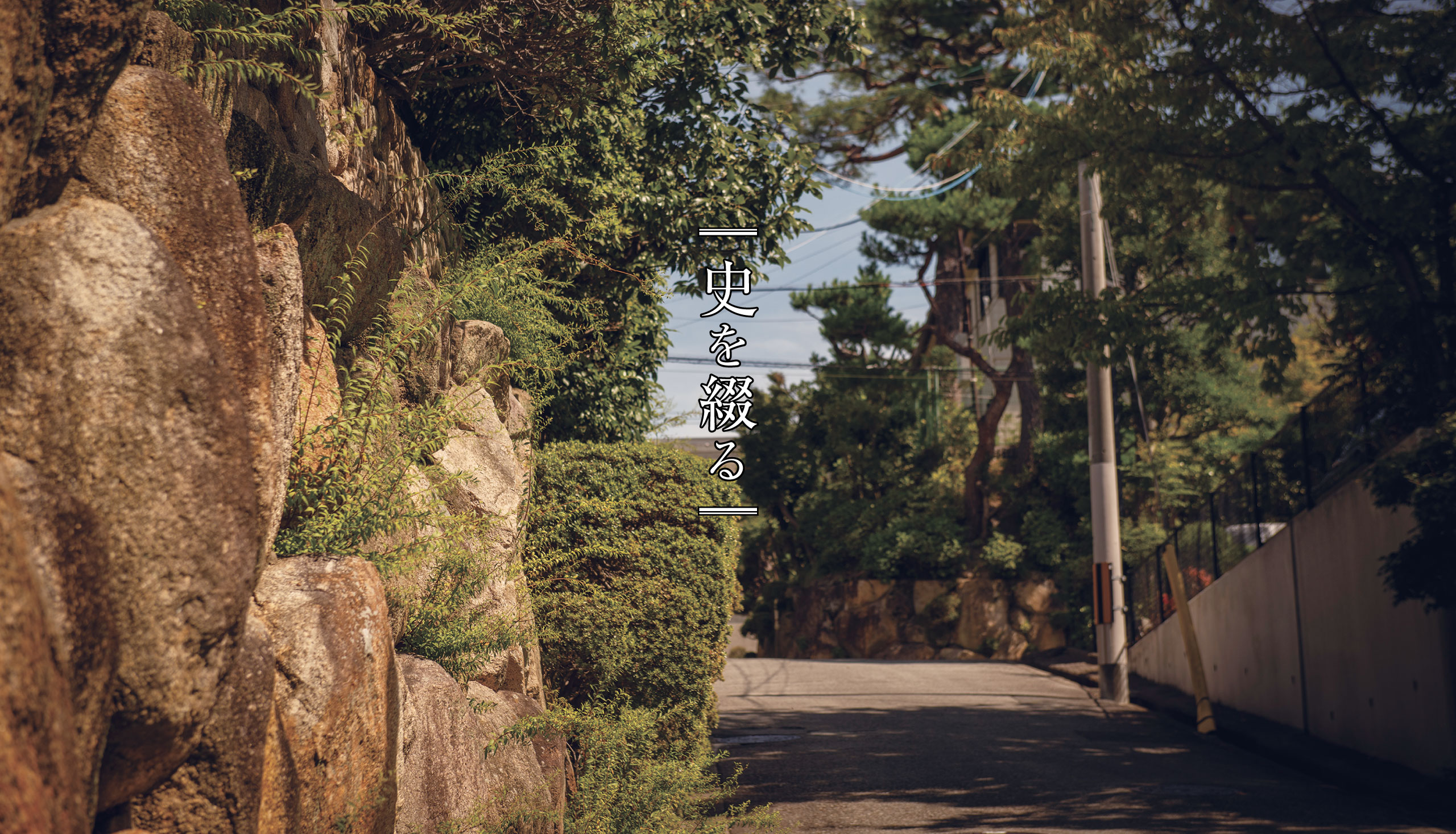現地周辺の街並み／徒歩2分（No.1、No.9）、徒歩3分（No.2～8）