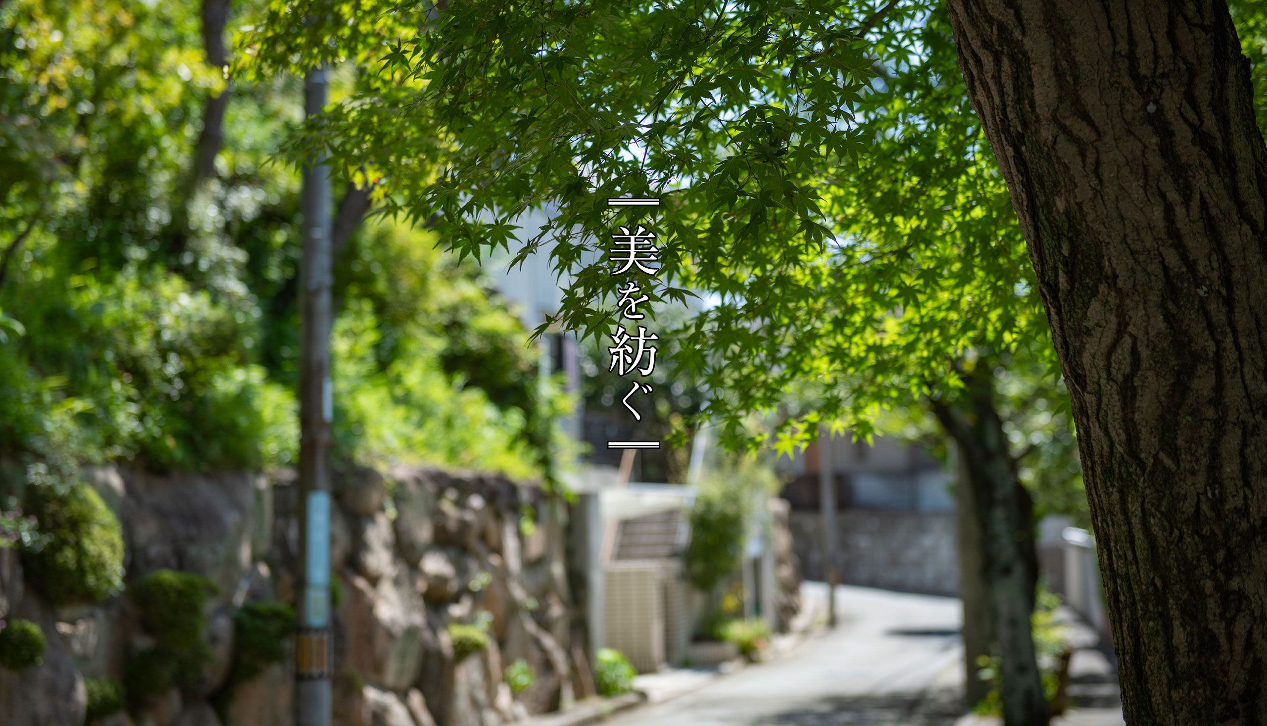 現地周辺の街並み／徒歩2分（No.1、No.9）、徒歩3分（No.2～8）
