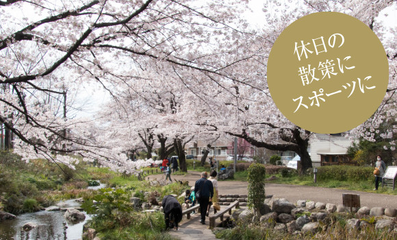 根川緑道