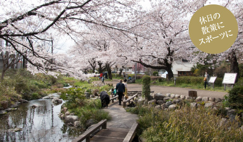 根川緑道