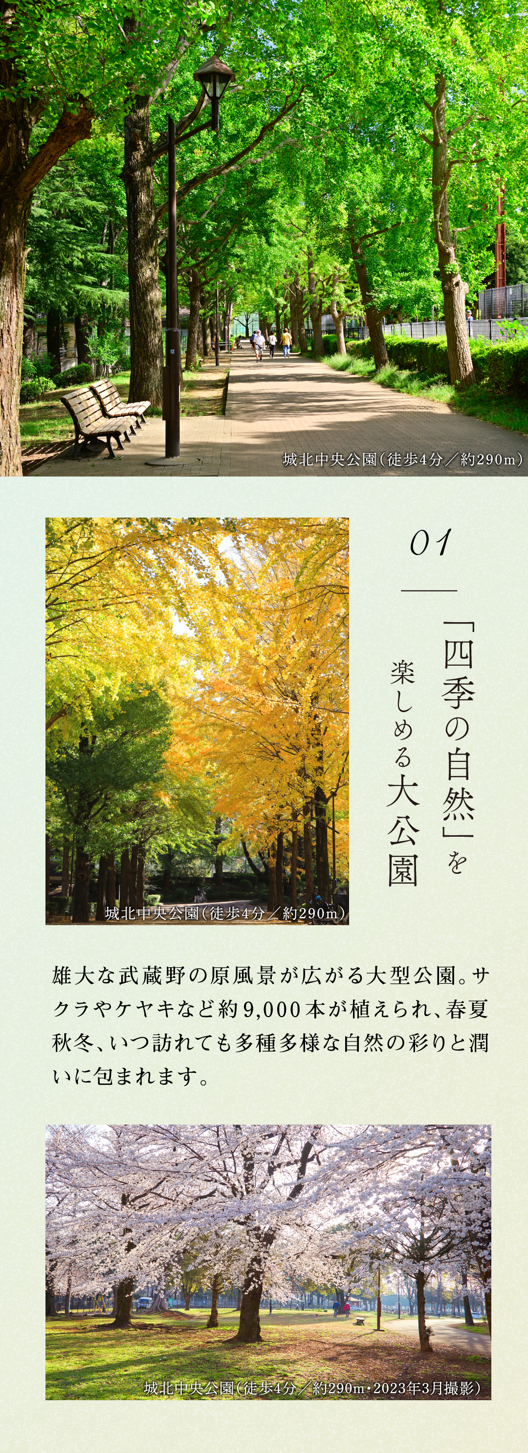 【中古】 追憶の墓標/新風舎/高瀬湊 崇峻天皇 倉梯岡陵 | 新陵墓探訪記