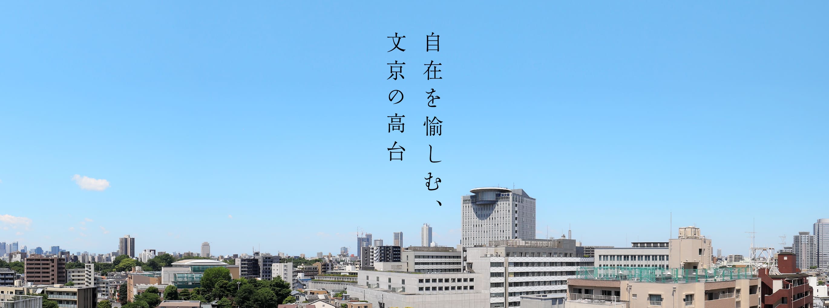 眺望写真