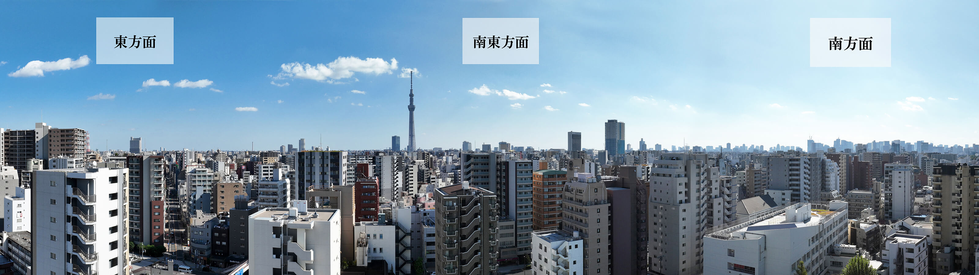 現地14階からの眺望（2024年11月撮影）<br />※14階の住戸は契約済みとなります。
