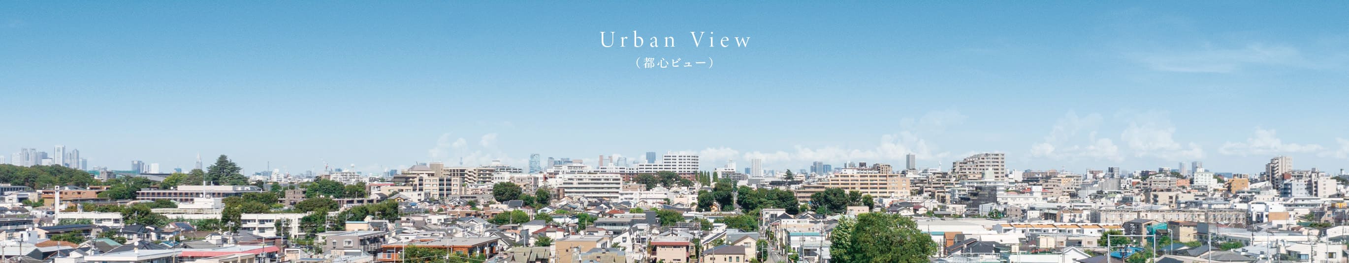 眺望写真（現地8階相当の高さから東方向を撮影／2023年8月撮影）