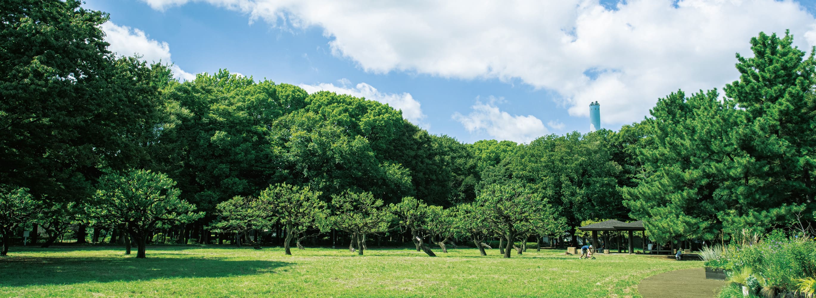 砧公園（徒歩2分・約120ｍ）