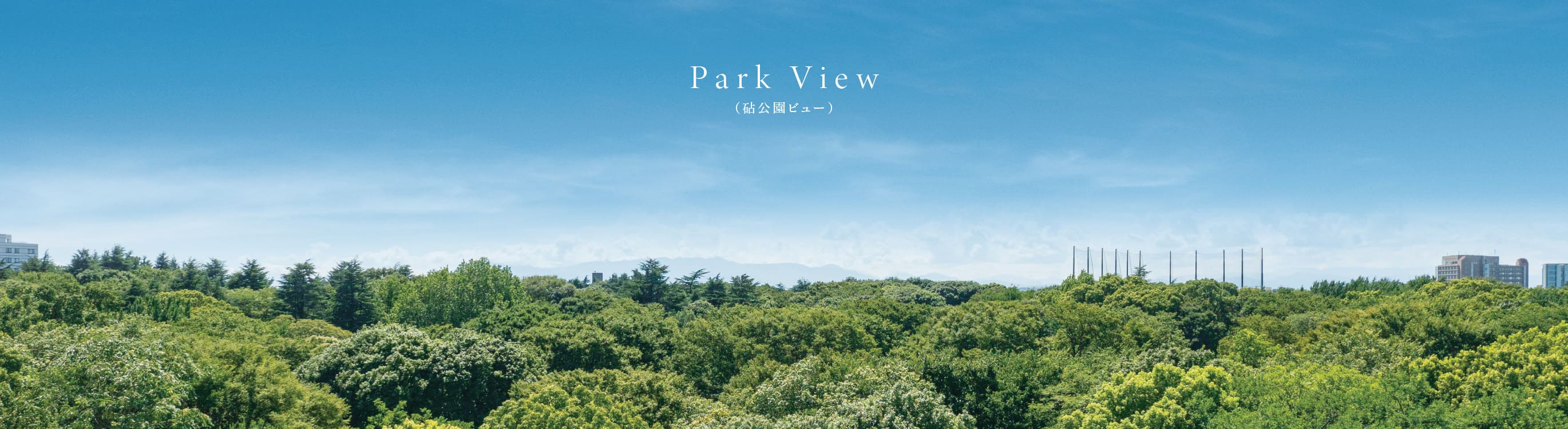 眺望写真（現地8階相当の高さから西方向を撮影／2023年8月撮影）