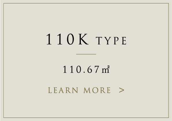 110Ktype