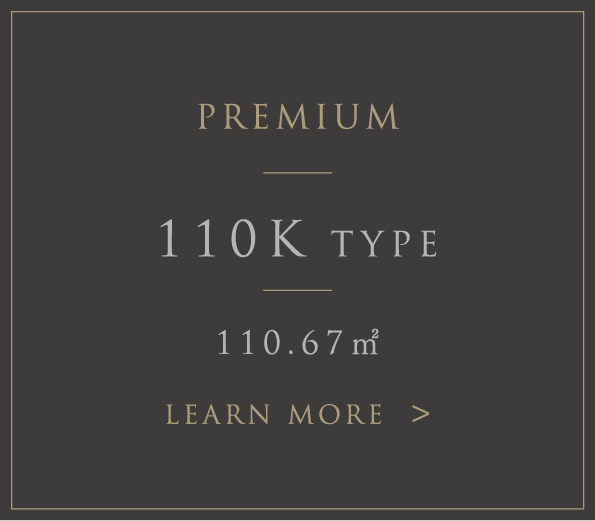 110Ktype