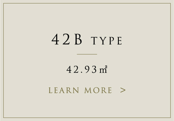 42Btype