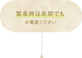 緊急時は夜間でもお電話ください