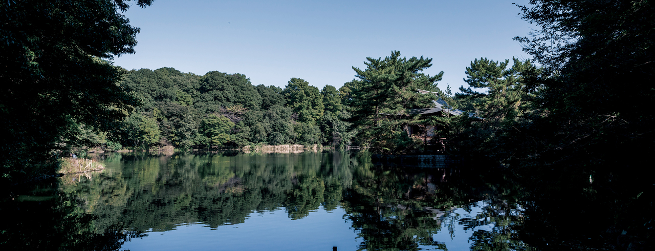 石神井公園