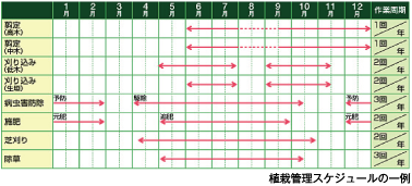 植栽管理スケジュールの一例