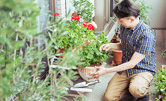 広くて陽当たりの良いバルコニーにはオリーブなどの鉢植えがいっぱい。住まいの中も、何処を眺めても必ずグリーンが目に入るよう植栽が美しくディスプレイされている。