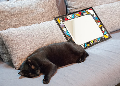 愛猫２匹をデザインした自作のステンドグラスとともに、ソファでゆったり寝そべるトノちゃん。