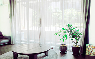 大きなローテーブルは、ふと外を見れば緑が視界に入る窓際に配置