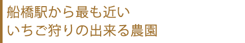 船橋駅から最も近いいちご狩りの出来る農園