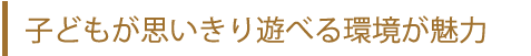 子どもが思いっきり遊べる環境が魅力