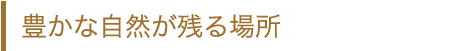 豊かな自然が残る場所